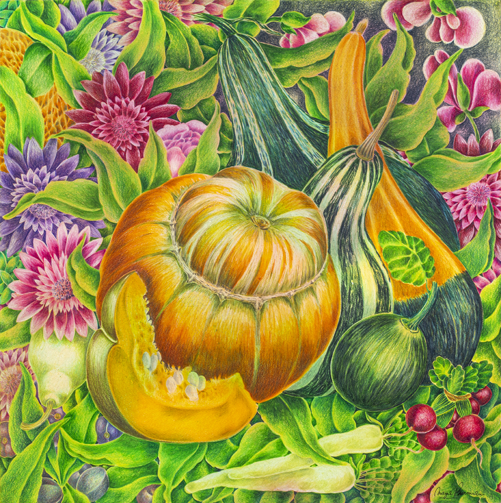 Maya Burman, Les Courges de mon Jardin, colour pencil on paper, 16” x 16”, 2024.